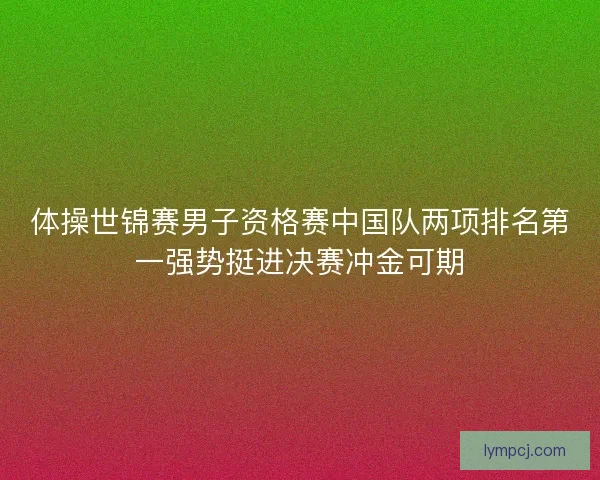 体操世锦赛男子资格赛中国队两项排名第一强势挺进决赛冲金可期